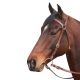 McAlister - Barcoo Bridle - Pony