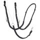 Oregon German Martingale - Black