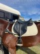 Kent and Masters English made all purpose saddle