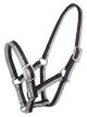 Sparkle Foal Halter