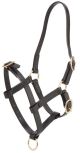 Zilco PN Foal Halter - Black