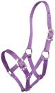 Small Pony Halter