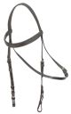 Exercise Bridle Head