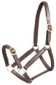 Aintree Leather Foal Halter
